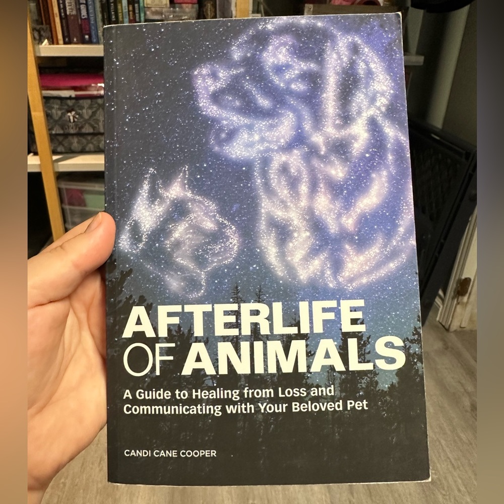 Book: Afterlife of Animals
